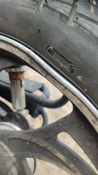 DELTA 49,9 см3 2024 - 6