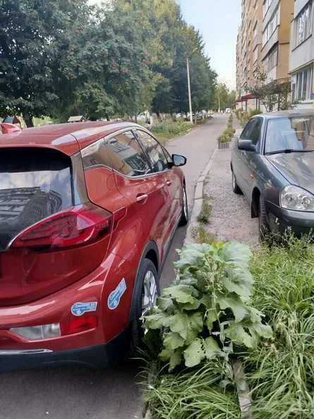 Chevrolet Bolt 2020 - 6