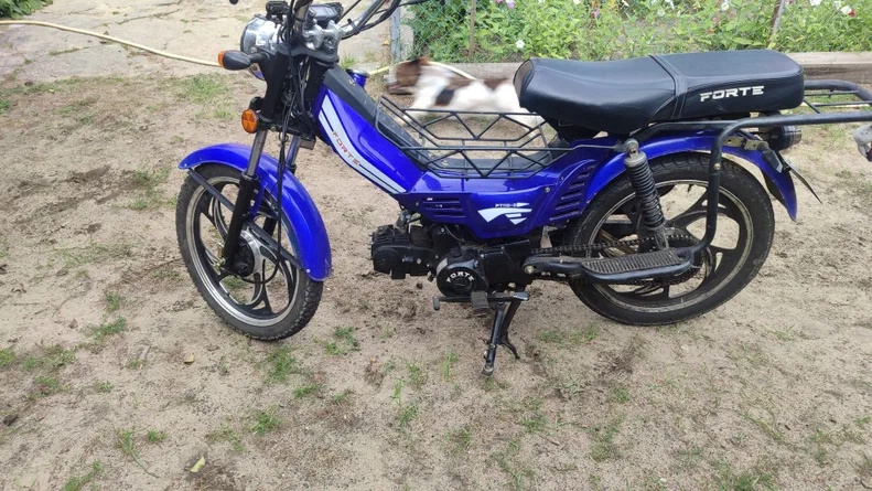 DELTA 49,9 см3 2024