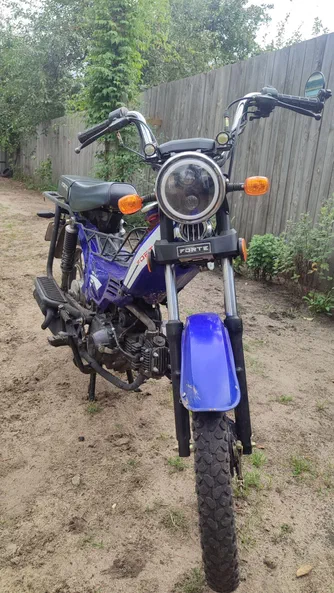 DELTA 49,9 см3 2024