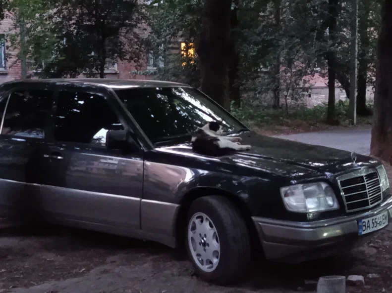 Mercedes-Benz E-Класс 1995