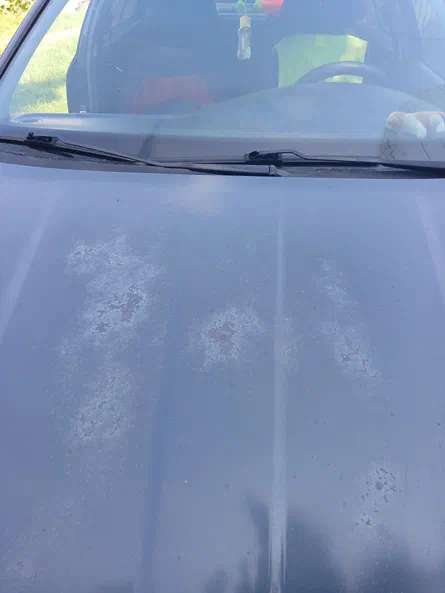 Skoda Octavia 1999 - 11