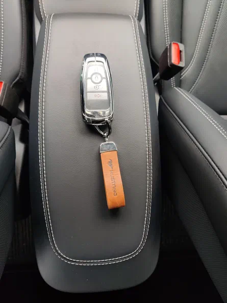 Ford Mustang Mach-E 2023 - 28