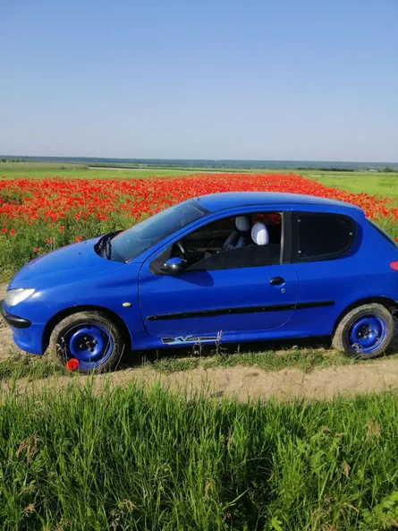 Peugeot 206 2001
