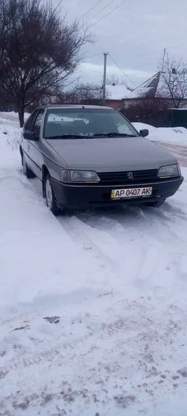Peugeot 405 1991
