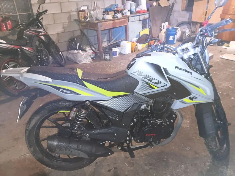 VIPER ZS250GY 250 см3 2025