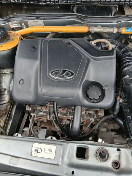 Lada (ВАЗ) 2115 2008 - 6