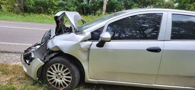 Fiat Punto 2010 - 1