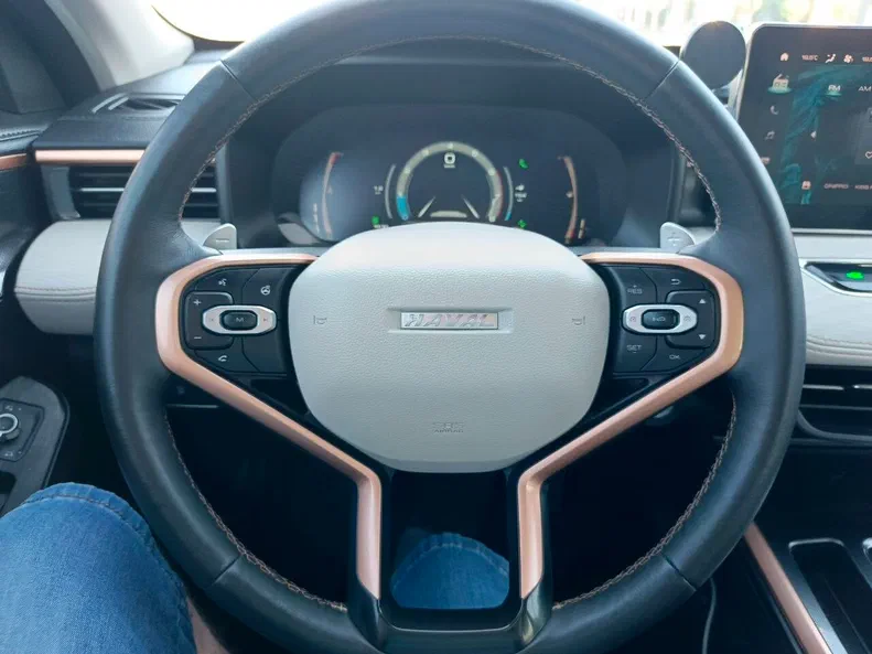 Haval Jolion 2021 - 26