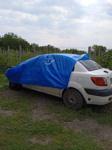 Kia Rio 2009 - 12