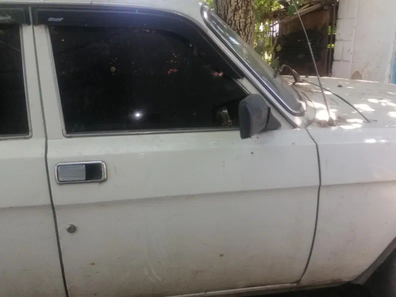 ГАЗ 31029 «Волга» 1995 - 5