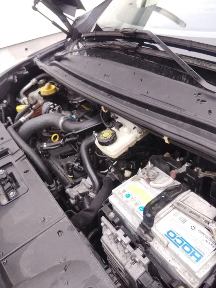 Renault Scenic 2014 - 13