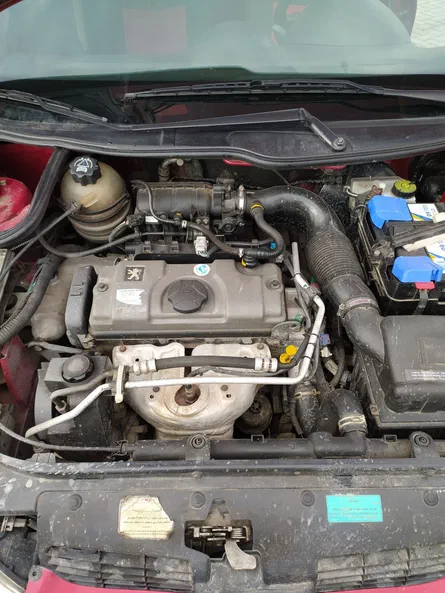 Peugeot 206 2006 - 9