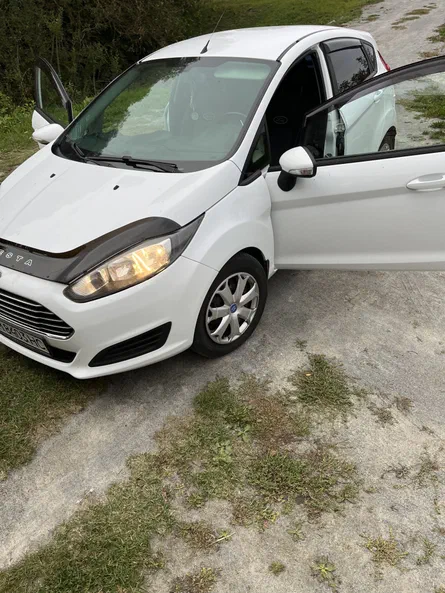 Ford Fiesta 2013 - 18