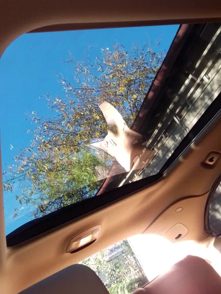 Mercedes-Benz R-Клас 2008 - 7