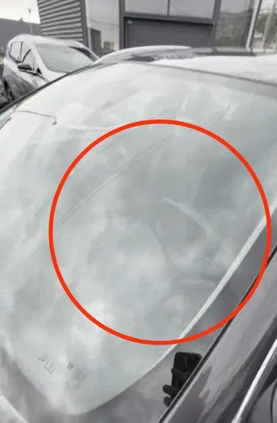 Opel Insignia 2014 - 9