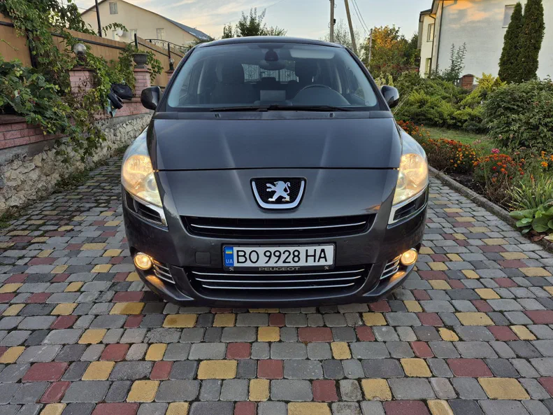 Peugeot 5008 2009 - 17