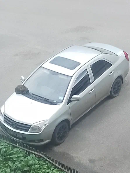 Geely MK 2013 - 0