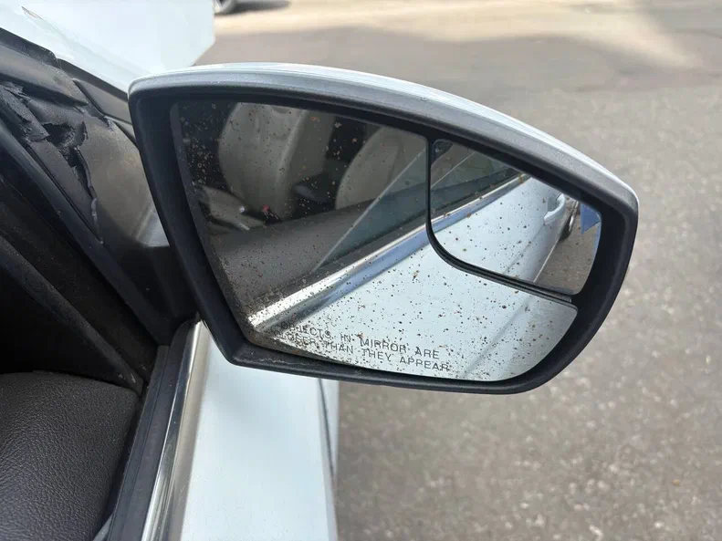 Ford Focus 2015 - 16