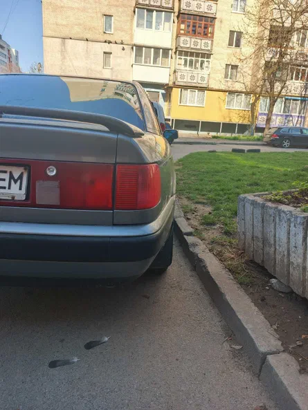 Audi 100 1993 - 3