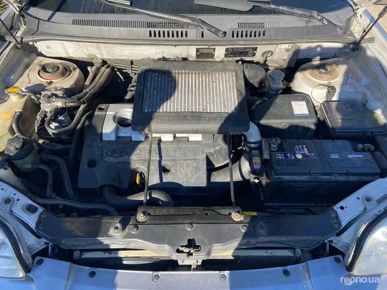 Hyundai Santa Fe 2002 - 6