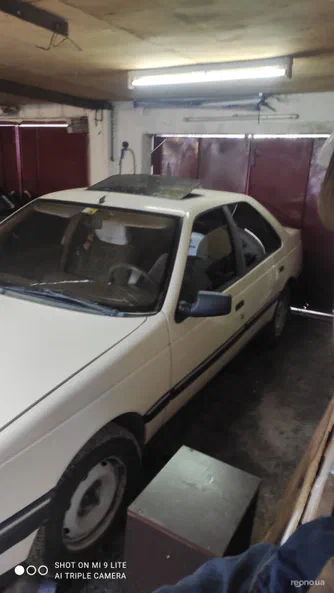 Peugeot 405 1988 - 5