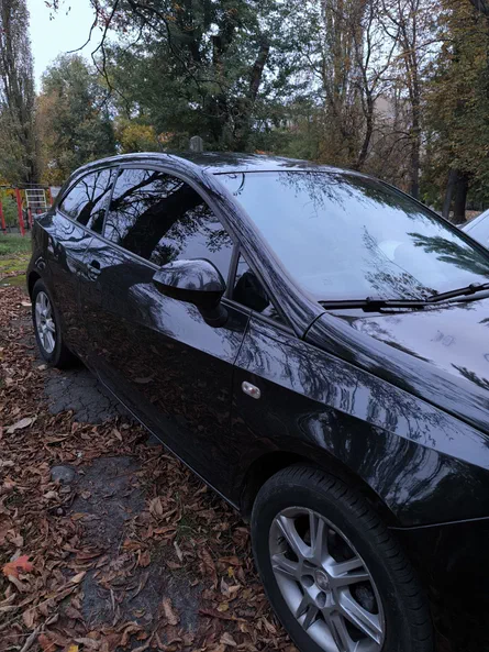 SEAT Ibiza 2010 - 24