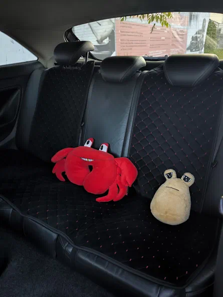 SEAT Ibiza 2010 - 16