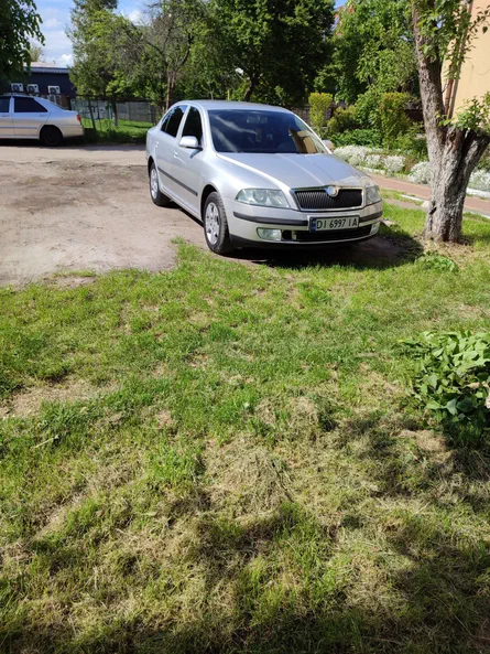 Skoda Octavia 2004 - 7