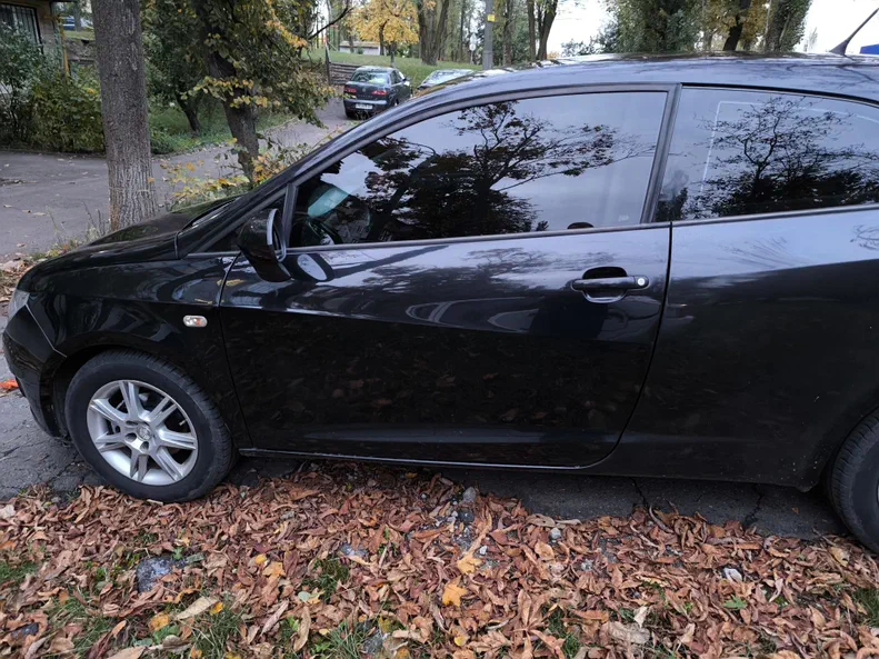 SEAT Ibiza 2010 - 23