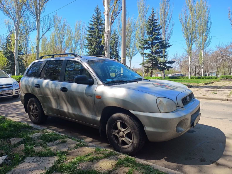 Hyundai Santa Fe 2003 - 7