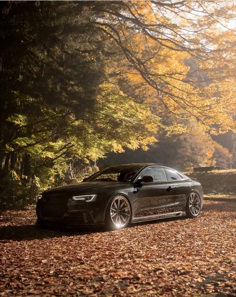 Audi A5 2015