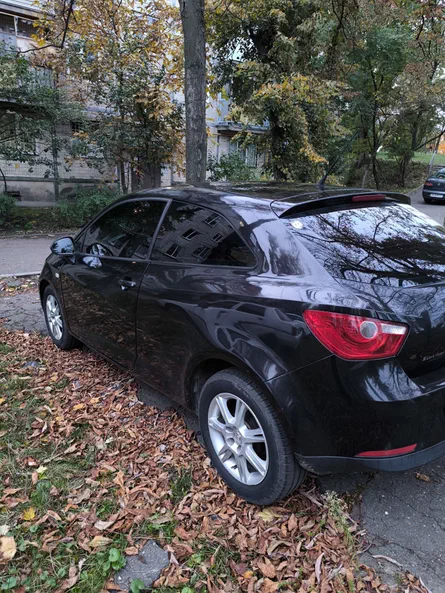 SEAT Ibiza 2010 - 22