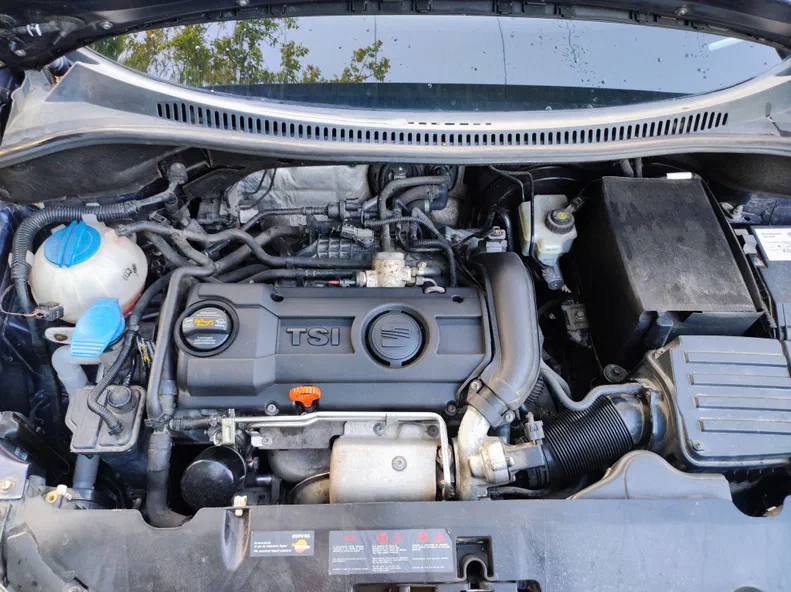 SEAT Altea 2009 - 10