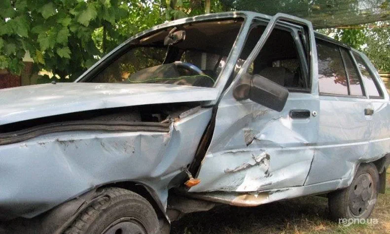 ЗАЗ 1105 «Дана» 1994 - 4