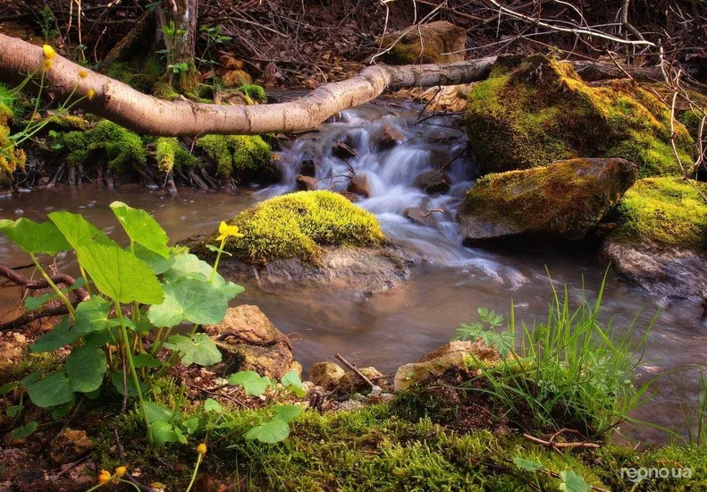 Москвич 2141 1989