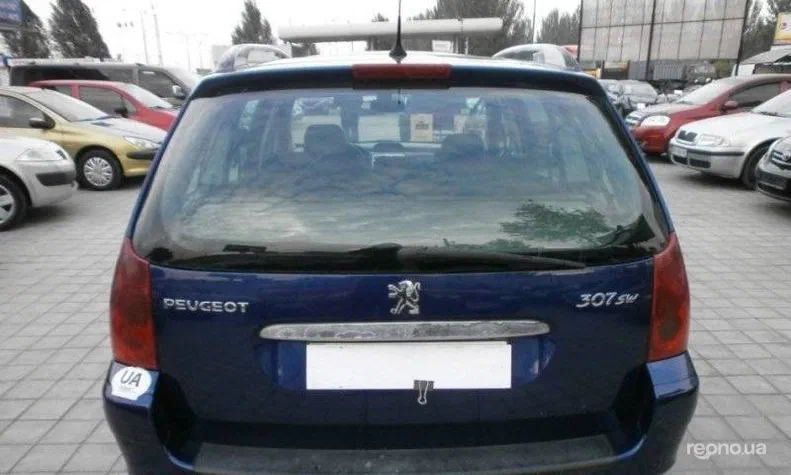 Peugeot 307 2002 - 4