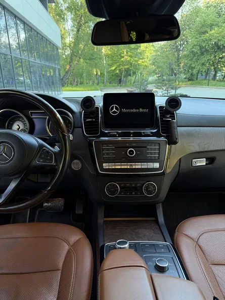 Mercedes-Benz GLS 2017 - 16