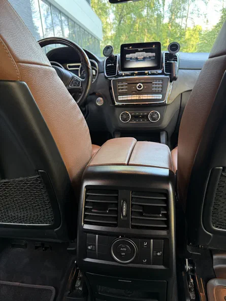 Mercedes-Benz GLS 2017 - 24