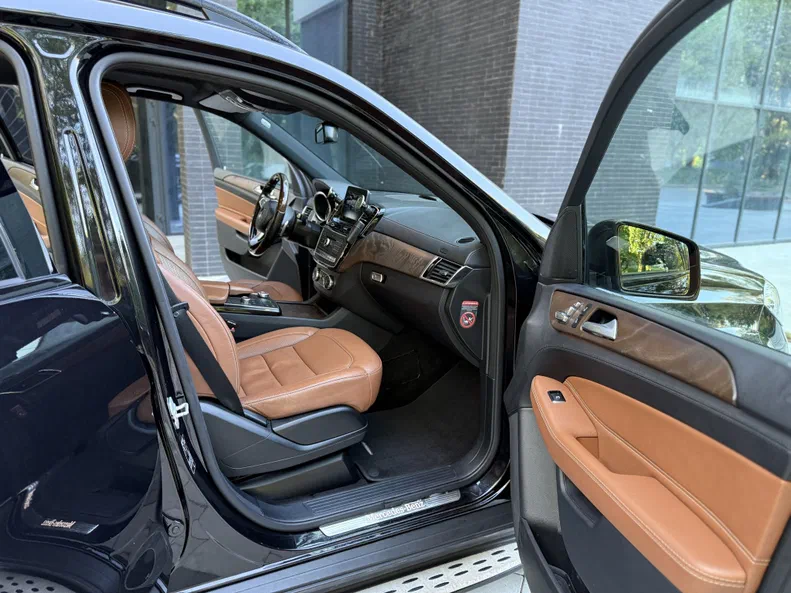 Mercedes-Benz GLS 2017 - 9
