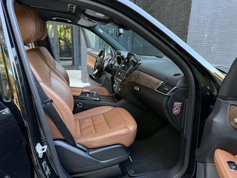 Mercedes-Benz GLS 2017 - 25