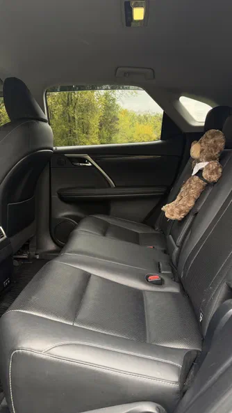 Lexus RX 2021 - 7