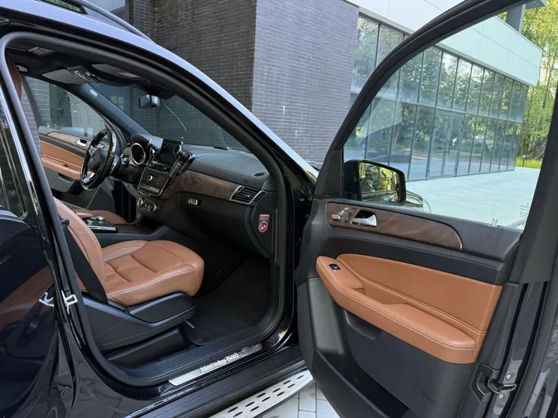 Mercedes-Benz GLS 2017 - 12