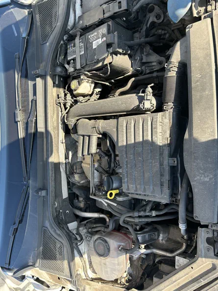 Skoda Octavia 2020 - 19