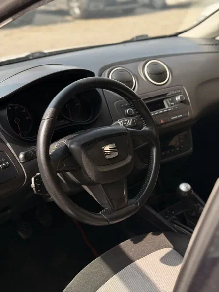 SEAT Ibiza 2013 - 18