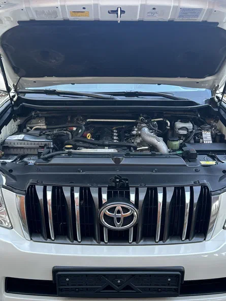 Toyota Land Cruiser Prado 2010 - 11