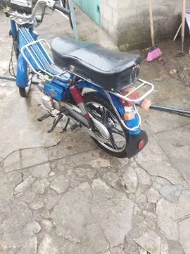 DELTA 49,9 см3 2015