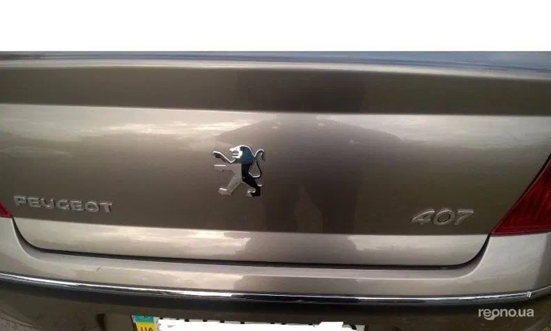 Peugeot 407 2006 - 1