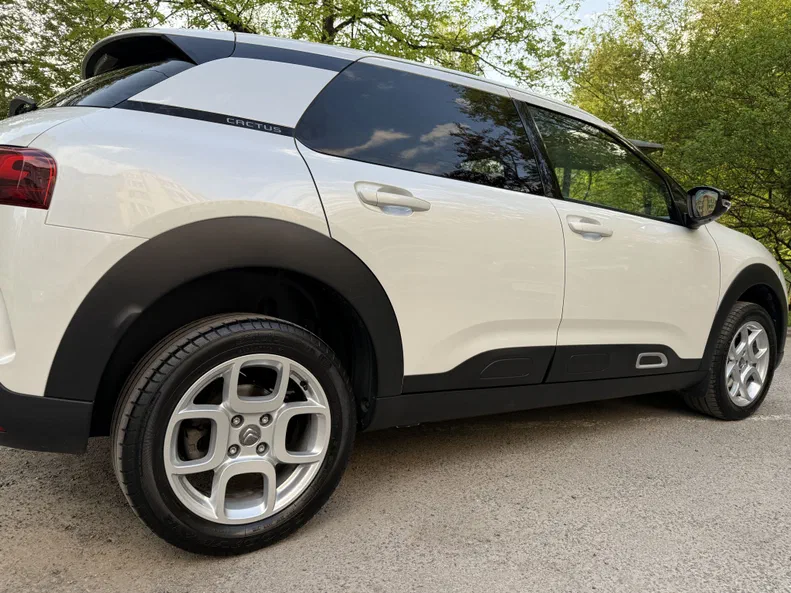 Citroen C4 Cactus 2020 - 18