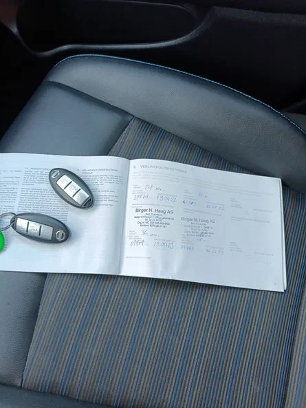 Nissan Leaf 2019 - 19